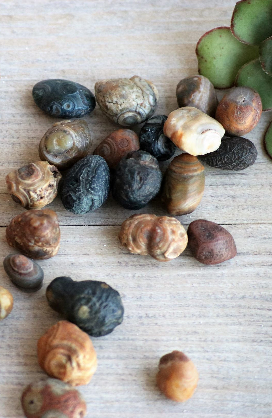 Gobi Desert Agate (Large) Tumbled Stone